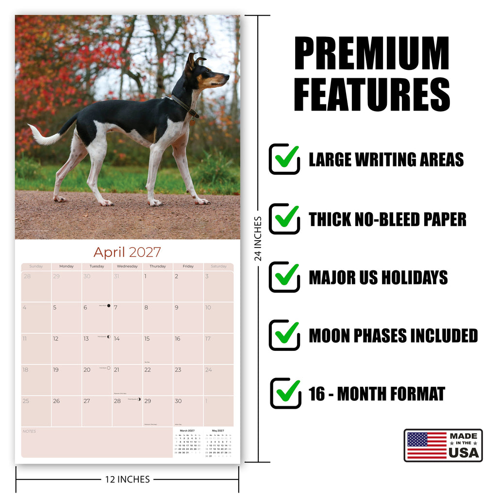 Rat Terrier Wall Calendar 2027 - 12" x 12" Monthly Alert & Energetic American Terrier Breed Calendar