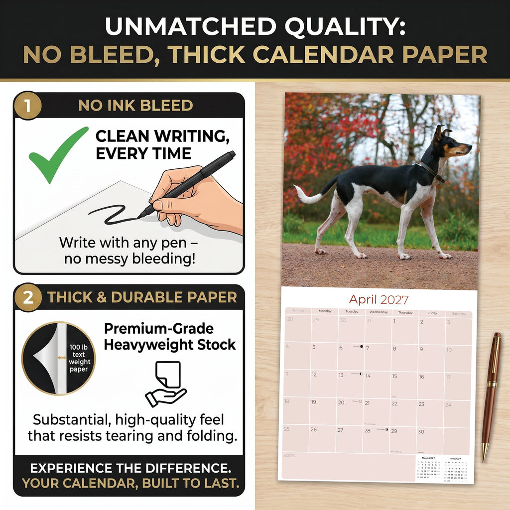 Rat Terrier Wall Calendar 2027 - 12" x 12" Monthly Alert & Energetic American Terrier Breed Calendar