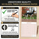 Rat Terrier Wall Calendar 2027 - 12" x 12" Monthly Alert & Energetic American Terrier Breed Calendar