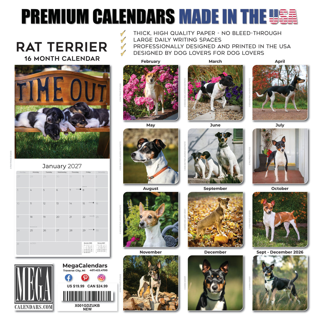 Rat Terrier Wall Calendar 2027 - 12" x 12" Monthly Alert & Energetic American Terrier Breed Calendar