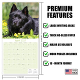 Schipperke Wall Calendar 2027 - 12" x 12" Monthly Curious & Energetic Schipperke Dog Breed Calendar
