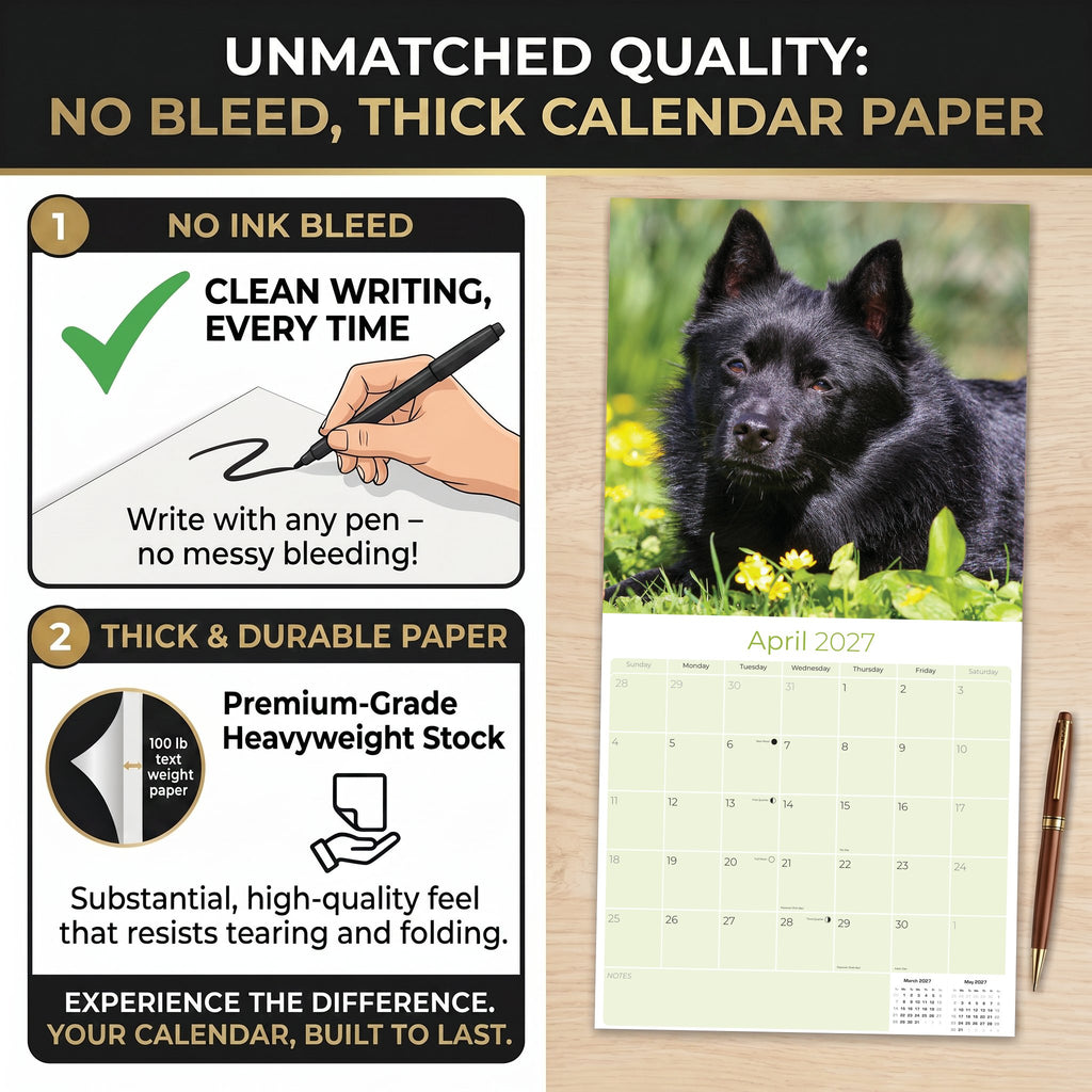 Schipperke Wall Calendar 2027 - 12" x 12" Monthly Curious & Energetic Schipperke Dog Breed Calendar