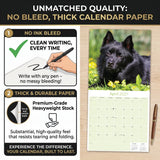 Schipperke Wall Calendar 2027 - 12" x 12" Monthly Curious & Energetic Schipperke Dog Breed Calendar