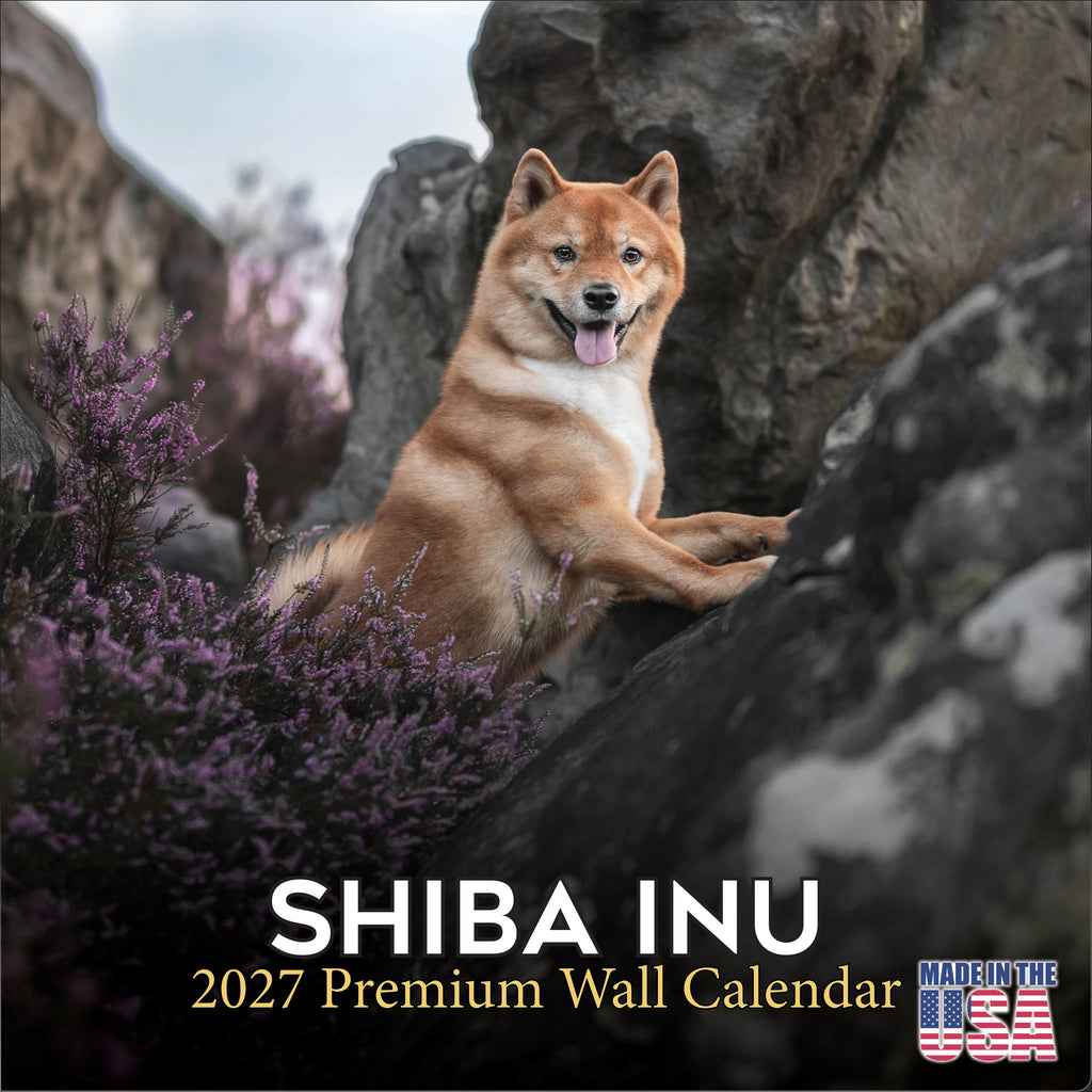 Shiba Inu Wall Calendar 2027 - 12" x 12" Monthly Spirited & Independent Japanese Dog Breed Calendar