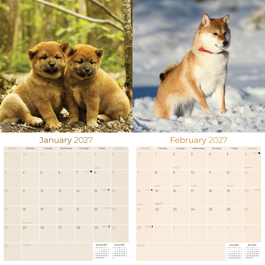 Shiba Inu Wall Calendar 2027 - 12" x 12" Monthly Spirited & Independent Japanese Dog Breed Calendar
