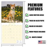 Shiba Inu Wall Calendar 2027 - 12" x 12" Monthly Spirited & Independent Japanese Dog Breed Calendar