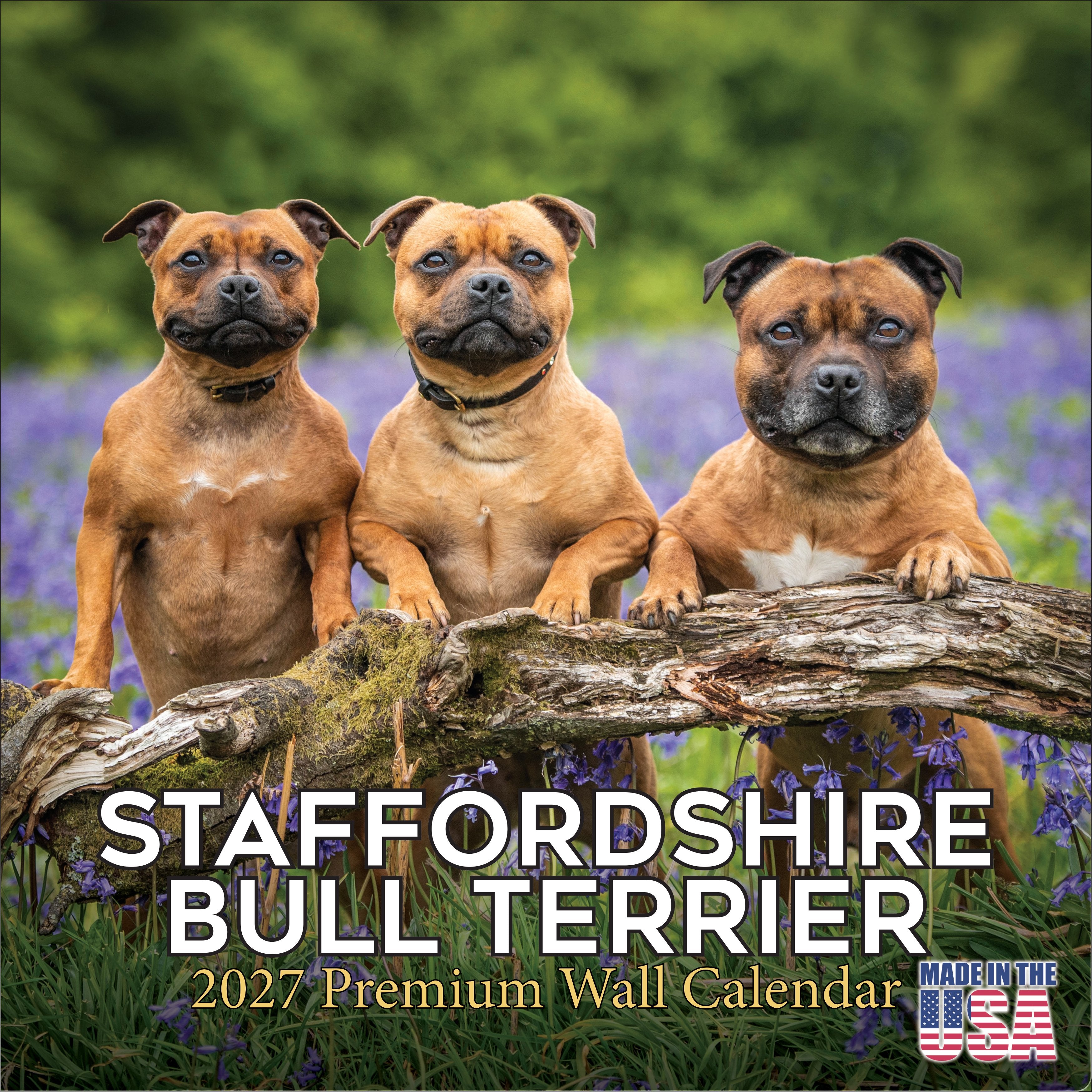 Staffordshire Bull Terrier Wall Calendar 2027 - 12