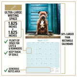Staffordshire Bull Terrier Wall Calendar 2027 - 12" x 12" Monthly Courageous & Affectionate Staffy Dog Breed Calendar