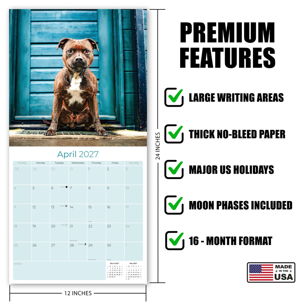 Staffordshire Bull Terrier Wall Calendar 2027 - 12" x 12" Monthly Courageous & Affectionate Staffy Dog Breed Calendar