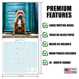 Staffordshire Bull Terrier Wall Calendar 2027 - 12" x 12" Monthly Courageous & Affectionate Staffy Dog Breed Calendar