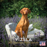 Vizsla Wall Calendar 2027 - 12" x 12" Monthly Athletic & Affectionate Hungarian Pointer Dog Breed Calendar