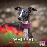 Whippet Wall Calendar 2027 - 12" x 12" Monthly Sleek & Athletic Sighthound Dog Breed Calendar