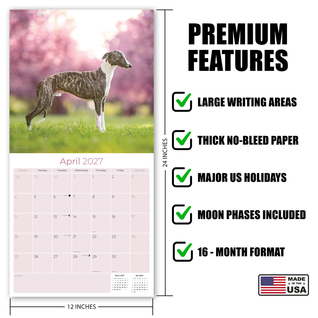 Whippet Wall Calendar 2027 - 12" x 12" Monthly Sleek & Athletic Sighthound Dog Breed Calendar