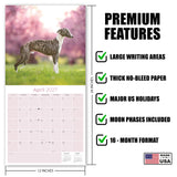 Whippet Wall Calendar 2027 - 12" x 12" Monthly Sleek & Athletic Sighthound Dog Breed Calendar