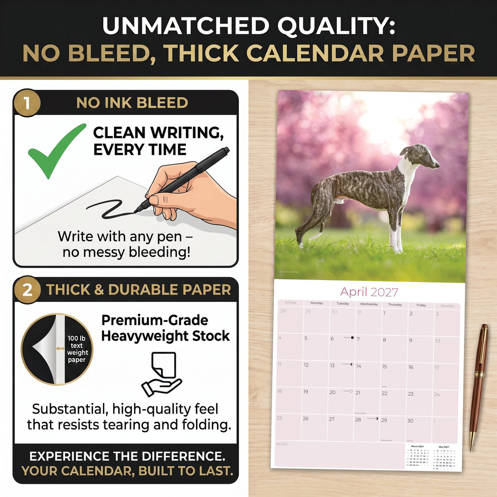 Whippet Wall Calendar 2027 - 12" x 12" Monthly Sleek & Athletic Sighthound Dog Breed Calendar