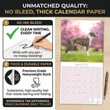 Whippet Wall Calendar 2027 - 12" x 12" Monthly Sleek & Athletic Sighthound Dog Breed Calendar