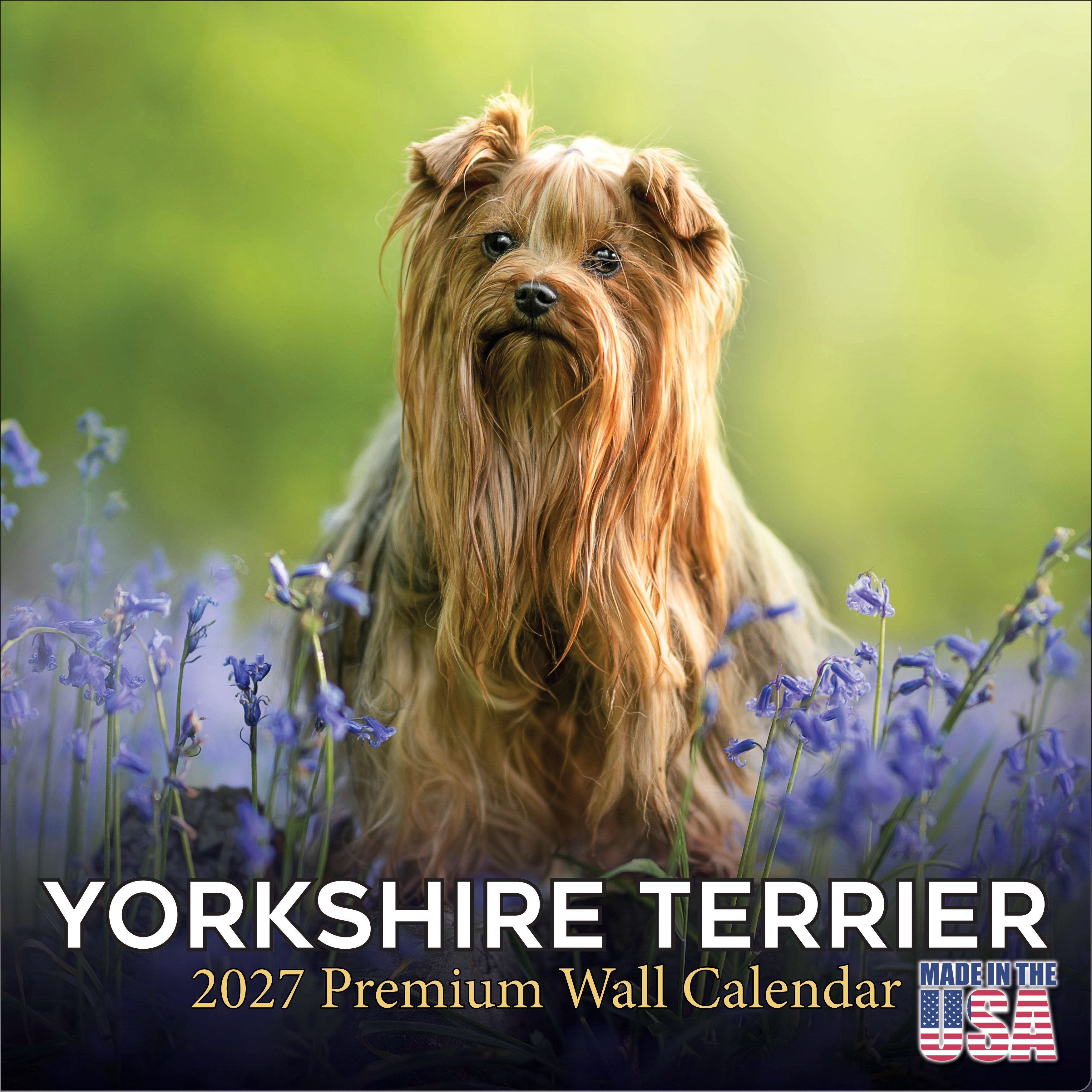 Yorkshire Terrier Wall Calendar 2027 - 12