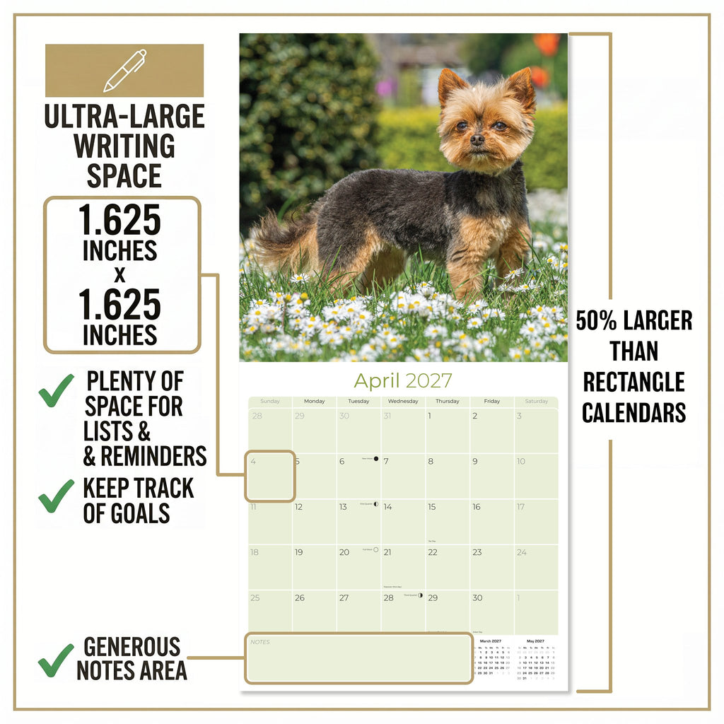 Yorkshire Terrier Wall Calendar 2027 - 12" x 12" Monthly Bold & Affectionate Yorkie Dog Breed Calendar