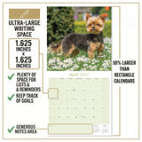 Yorkshire Terrier Wall Calendar 2027 - 12" x 12" Monthly Bold & Affectionate Yorkie Dog Breed Calendar