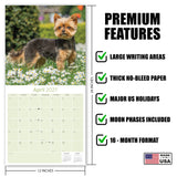 Yorkshire Terrier Wall Calendar 2027 - 12" x 12" Monthly Bold & Affectionate Yorkie Dog Breed Calendar