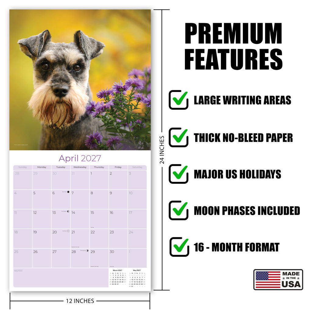 Miniature Schnauzer Wall Calendar 2027 - 12" x 12" Monthly Bearded Terrier & Spirited Small Schnauzer Calendar
