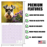 Miniature Schnauzer Wall Calendar 2027 - 12" x 12" Monthly Bearded Terrier & Spirited Small Schnauzer Calendar