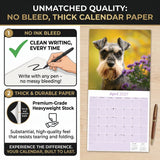 Miniature Schnauzer Wall Calendar 2027 - 12" x 12" Monthly Bearded Terrier & Spirited Small Schnauzer Calendar