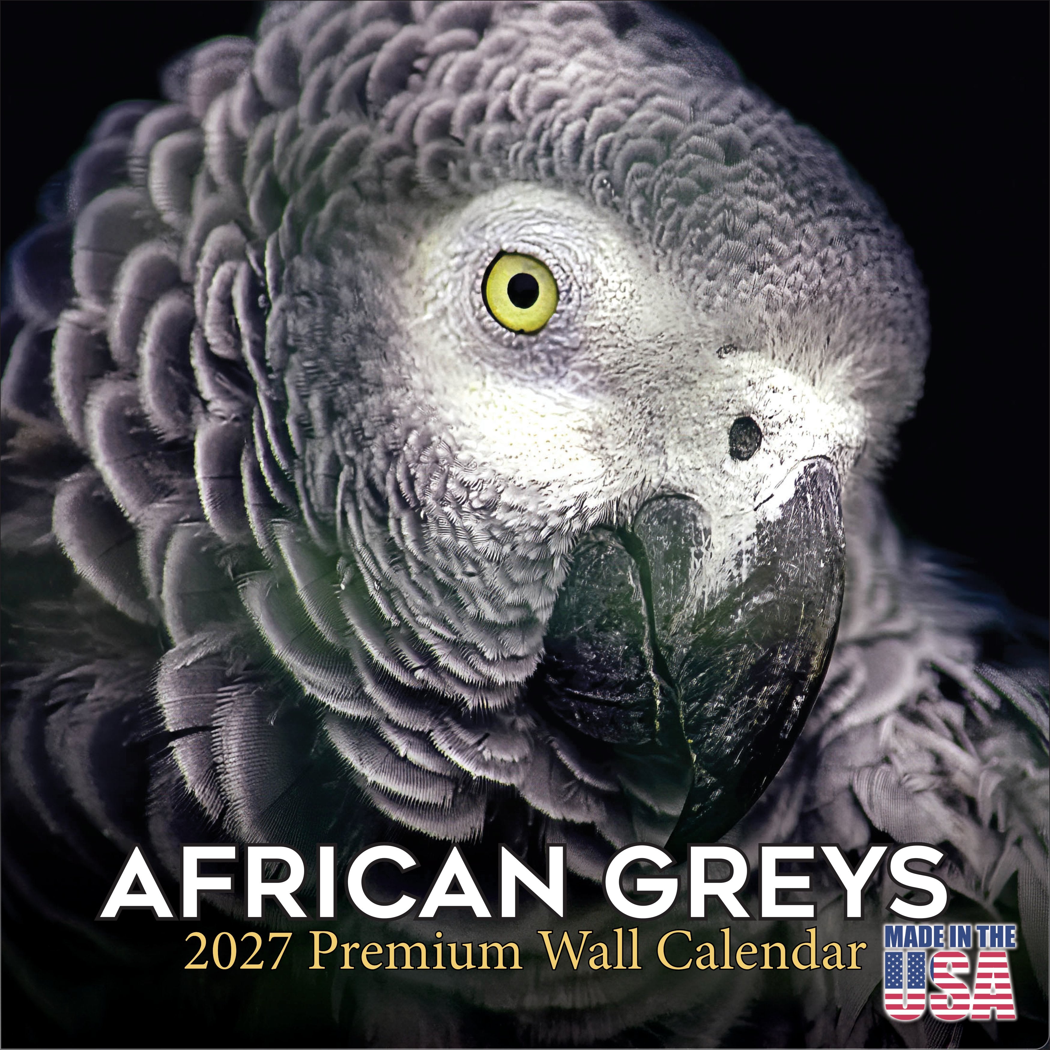 African Greys Wall Calendar 2027 - 12