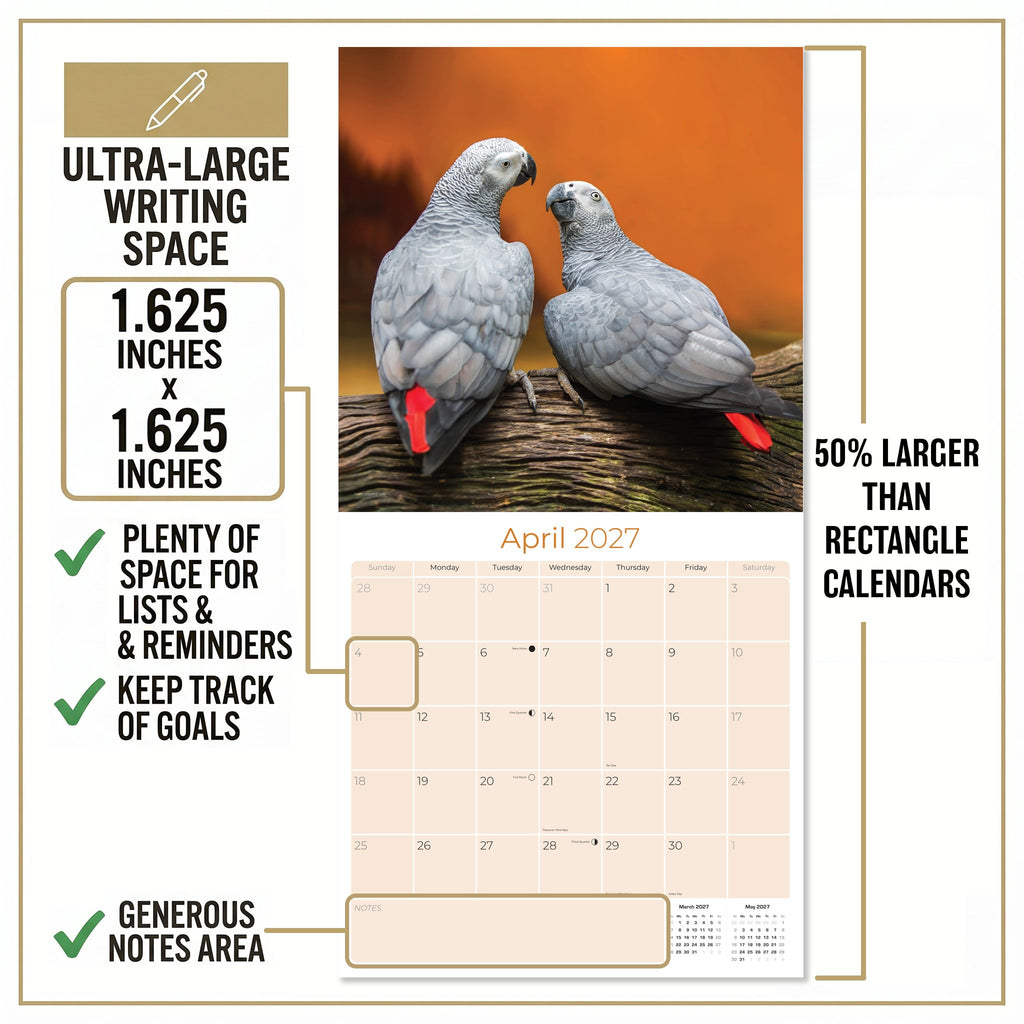 African Greys Wall Calendar 2027 - 12" x 12" Monthly Tropical Bird Calendar