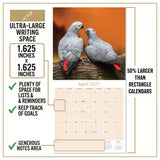African Greys Wall Calendar 2027 - 12" x 12" Monthly Tropical Bird Calendar