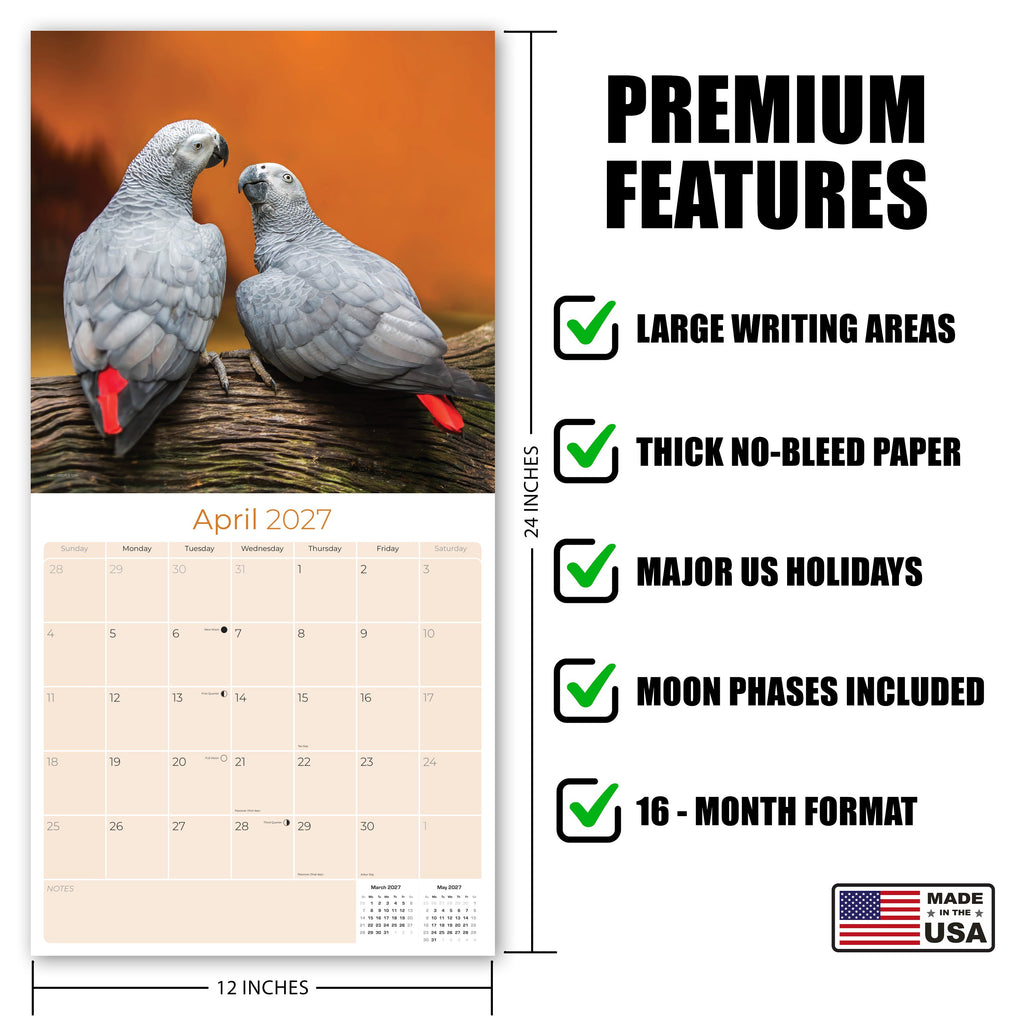 African Greys Wall Calendar 2027 - 12" x 12" Monthly Tropical Bird Calendar