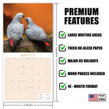 African Greys Wall Calendar 2027 - 12" x 12" Monthly Tropical Bird Calendar