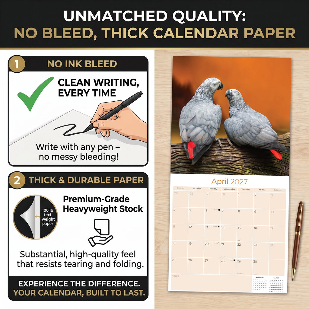 African Greys Wall Calendar 2027 - 12" x 12" Monthly Tropical Bird Calendar