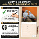 African Greys Wall Calendar 2027 - 12" x 12" Monthly Tropical Bird Calendar