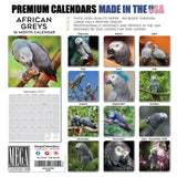 African Greys Wall Calendar 2027 - 12" x 12" Monthly Tropical Bird Calendar