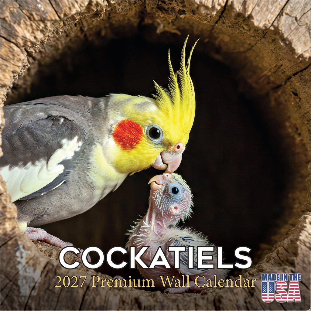 Cockatiels Wall Calendar 2027 - 12" x 12" Monthly Bird Breed Calendar