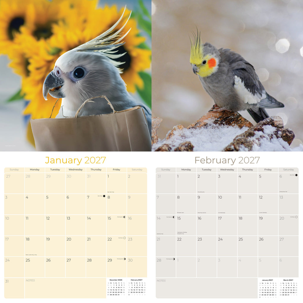 Cockatiels Wall Calendar 2027 - 12" x 12" Monthly Bird Breed Calendar