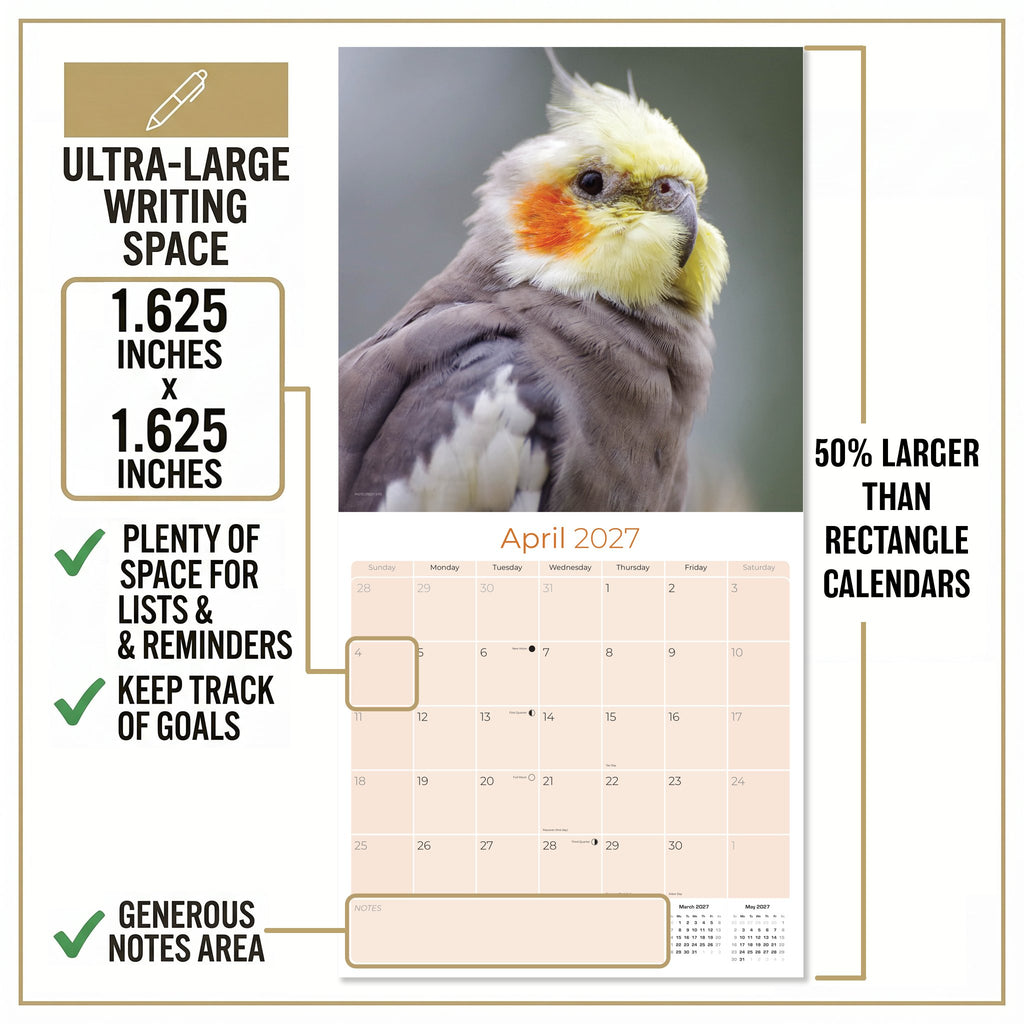 Cockatiels Wall Calendar 2027 - 12" x 12" Monthly Bird Breed Calendar