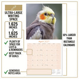 Cockatiels Wall Calendar 2027 - 12" x 12" Monthly Bird Breed Calendar