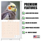 Cockatiels Wall Calendar 2027 - 12" x 12" Monthly Bird Breed Calendar