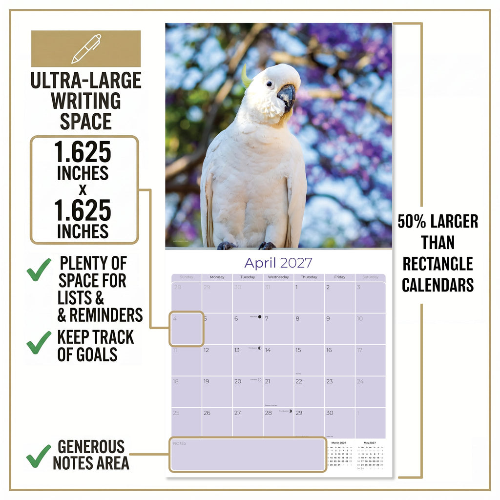 Cockatoos Wall Calendar 2027 - 12" x 12" Monthly Bird Breed Calendar