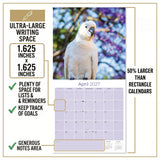 Cockatoos Wall Calendar 2027 - 12" x 12" Monthly Bird Breed Calendar