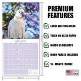 Cockatoos Wall Calendar 2027 - 12" x 12" Monthly Bird Breed Calendar