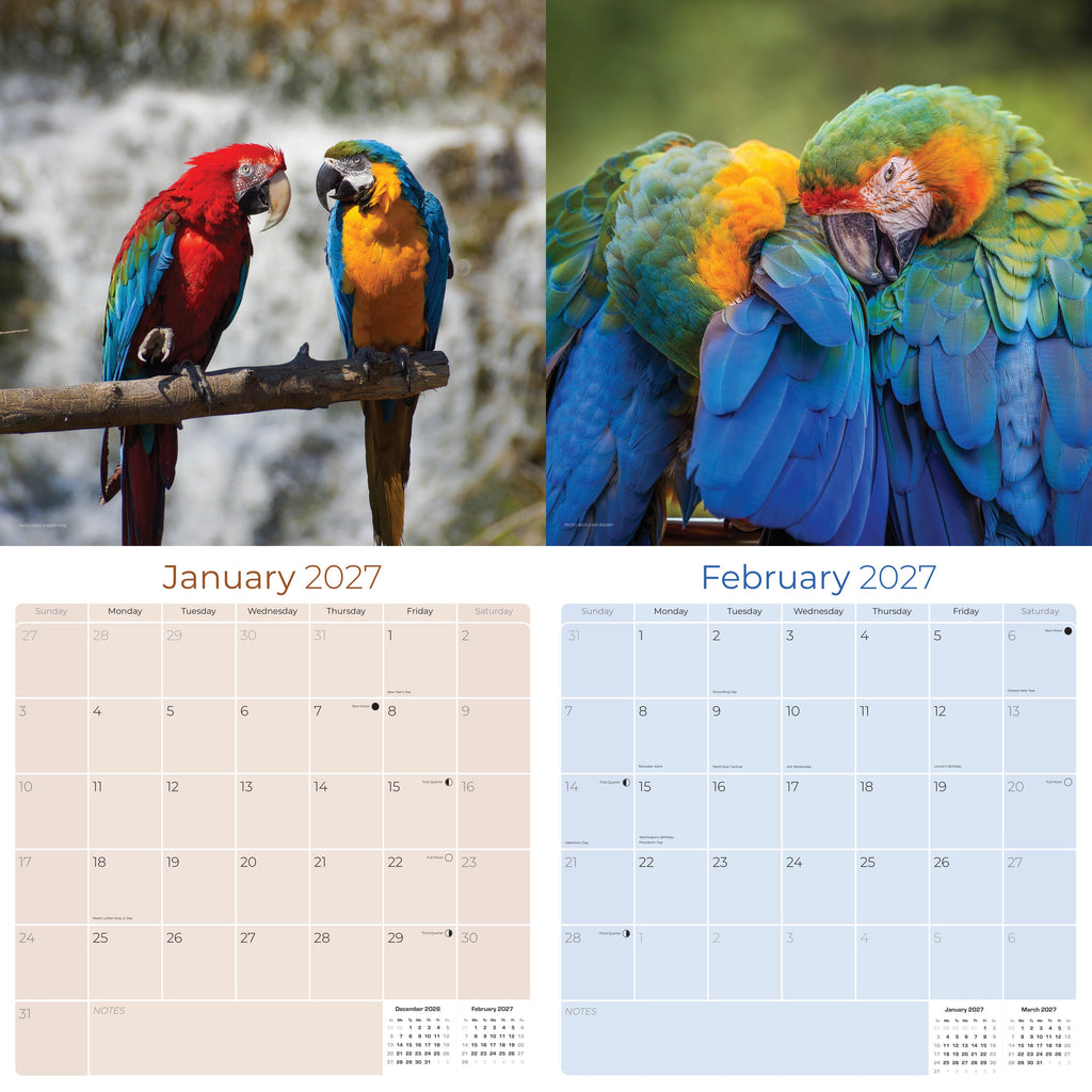 Macaws Wall Calendar 2027 - 12" x 12" Monthly Bird Breed Calendar
