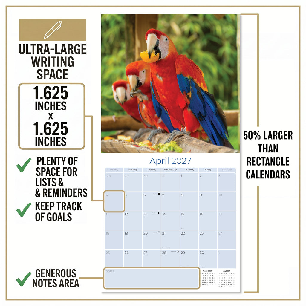 Macaws Wall Calendar 2027 - 12" x 12" Monthly Bird Breed Calendar