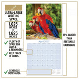 Macaws Wall Calendar 2027 - 12" x 12" Monthly Bird Breed Calendar