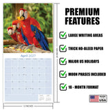 Macaws Wall Calendar 2027 - 12" x 12" Monthly Bird Breed Calendar