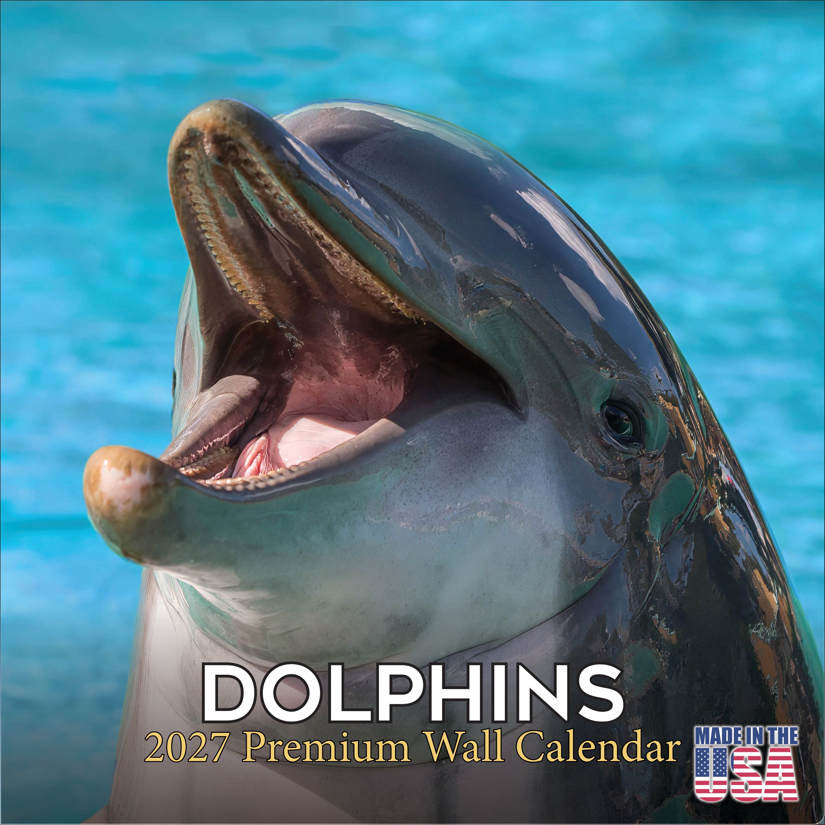 Dolphins Wall Calendar 2027 - 12