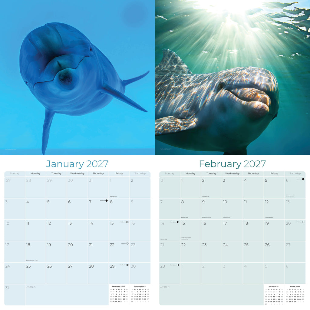 Dolphins Wall Calendar 2027 - 12" x 12" Monthly Breathtaking Ocean Dolphins & Marine Life Scenery Calendar