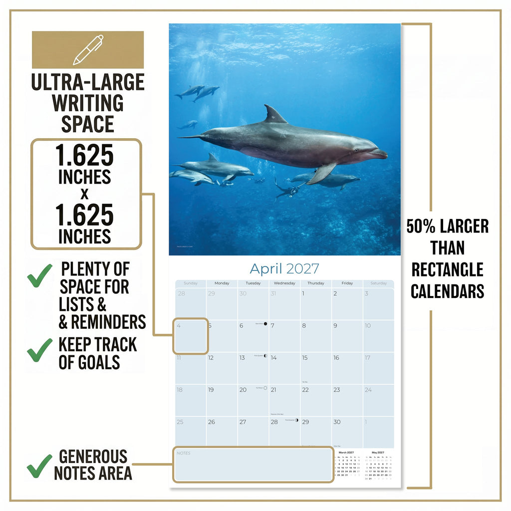 Dolphins Wall Calendar 2027 - 12" x 12" Monthly Breathtaking Ocean Dolphins & Marine Life Scenery Calendar